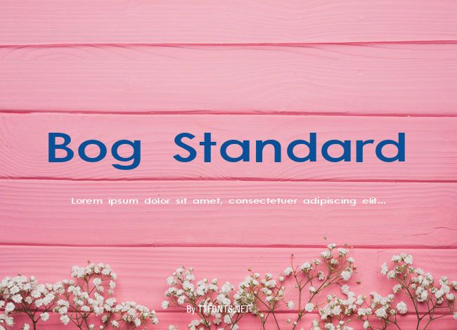 Bog Standard example